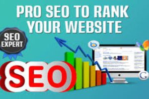 10707I will do seo audit report for your website instant